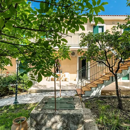 Anemona B קאטליוס
